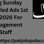 Jang Sunday Classified Ads 1st Feb 2026 For Management Staff