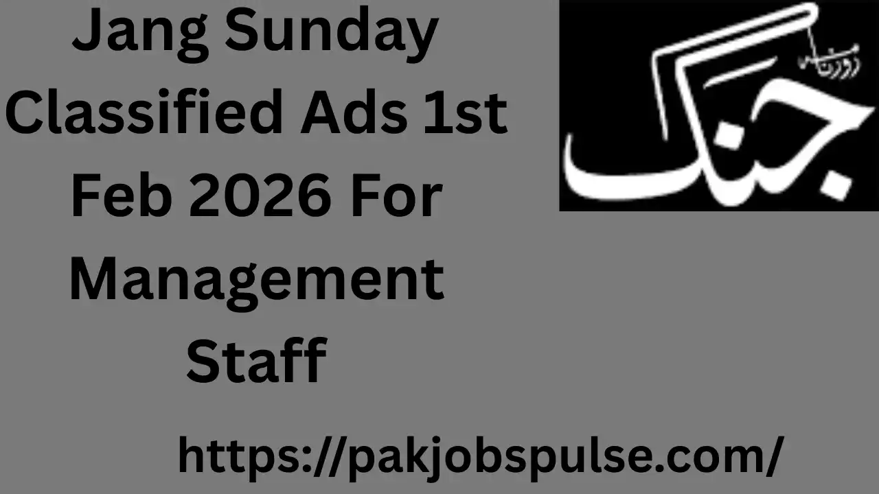 Jang Sunday Classified Ads 1st Feb 2026 For Management Staff